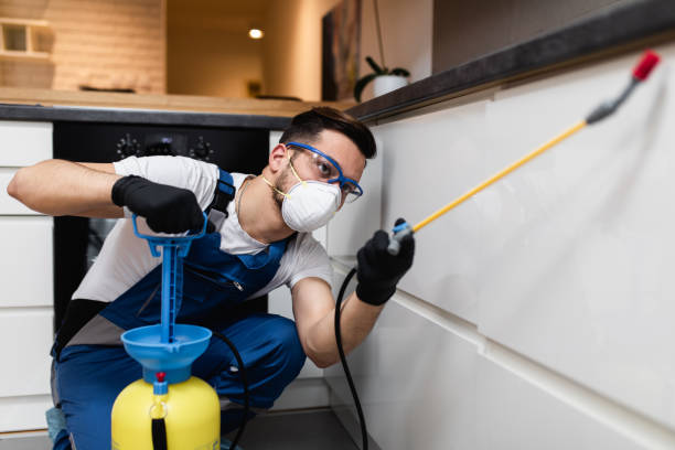 Wasp Removal Services in Pioche, NV