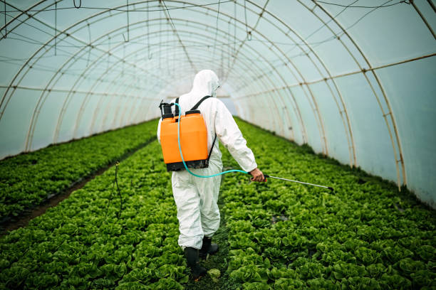 Professional Pest Control in Pioche, NV