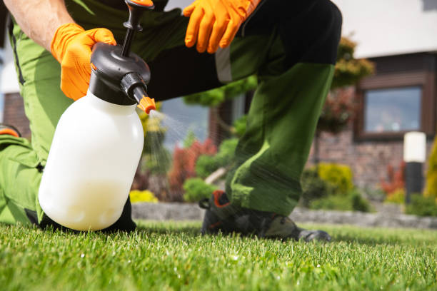 Best Pest Prevention Services  in Pioche, NV