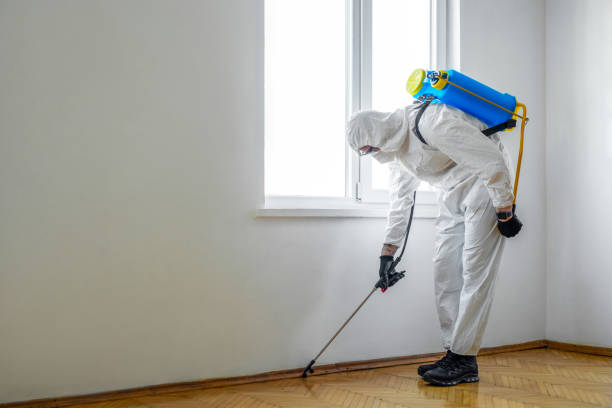 Pest Prevention Services in Pioche, NV